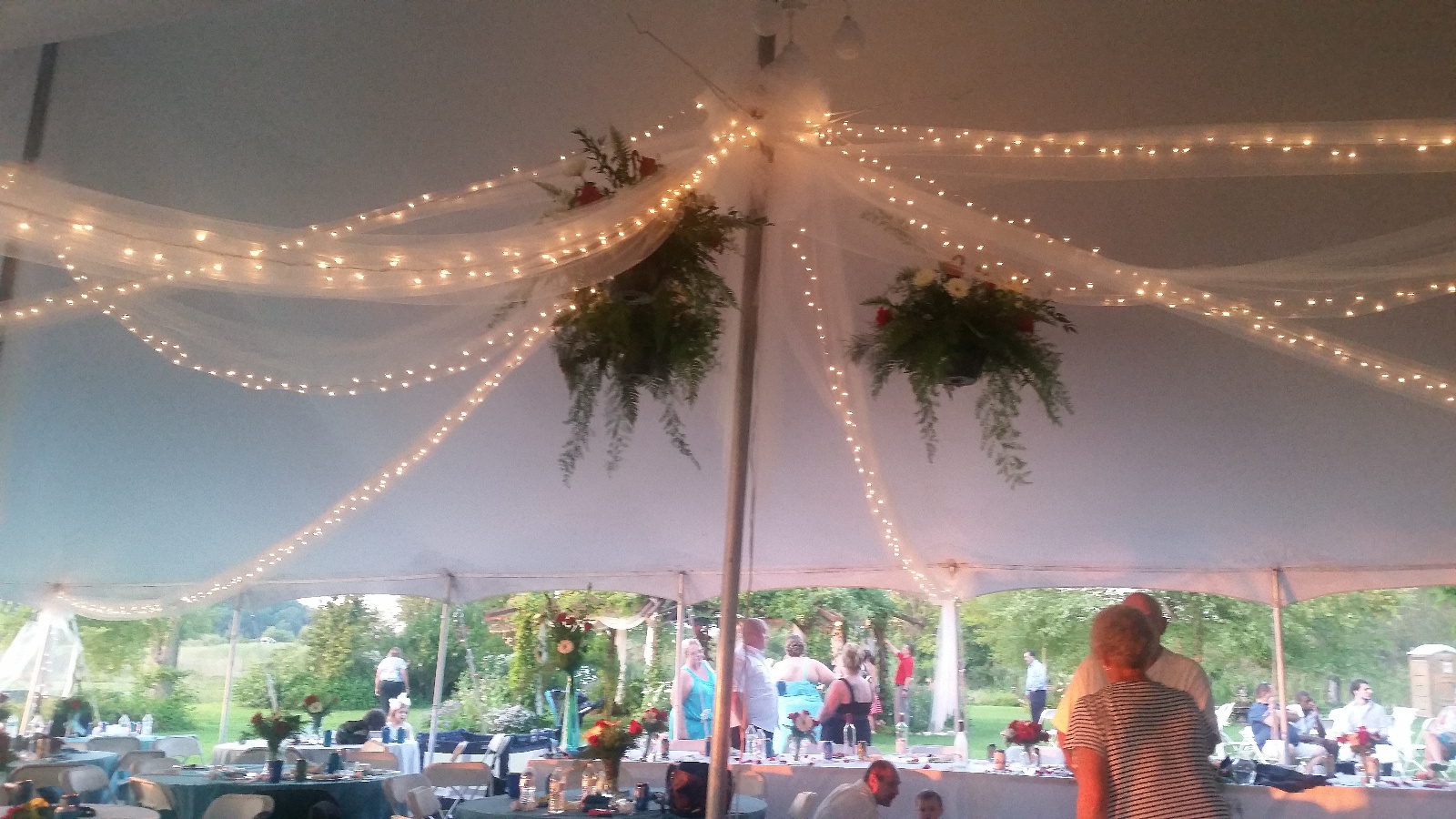 Early evening lights